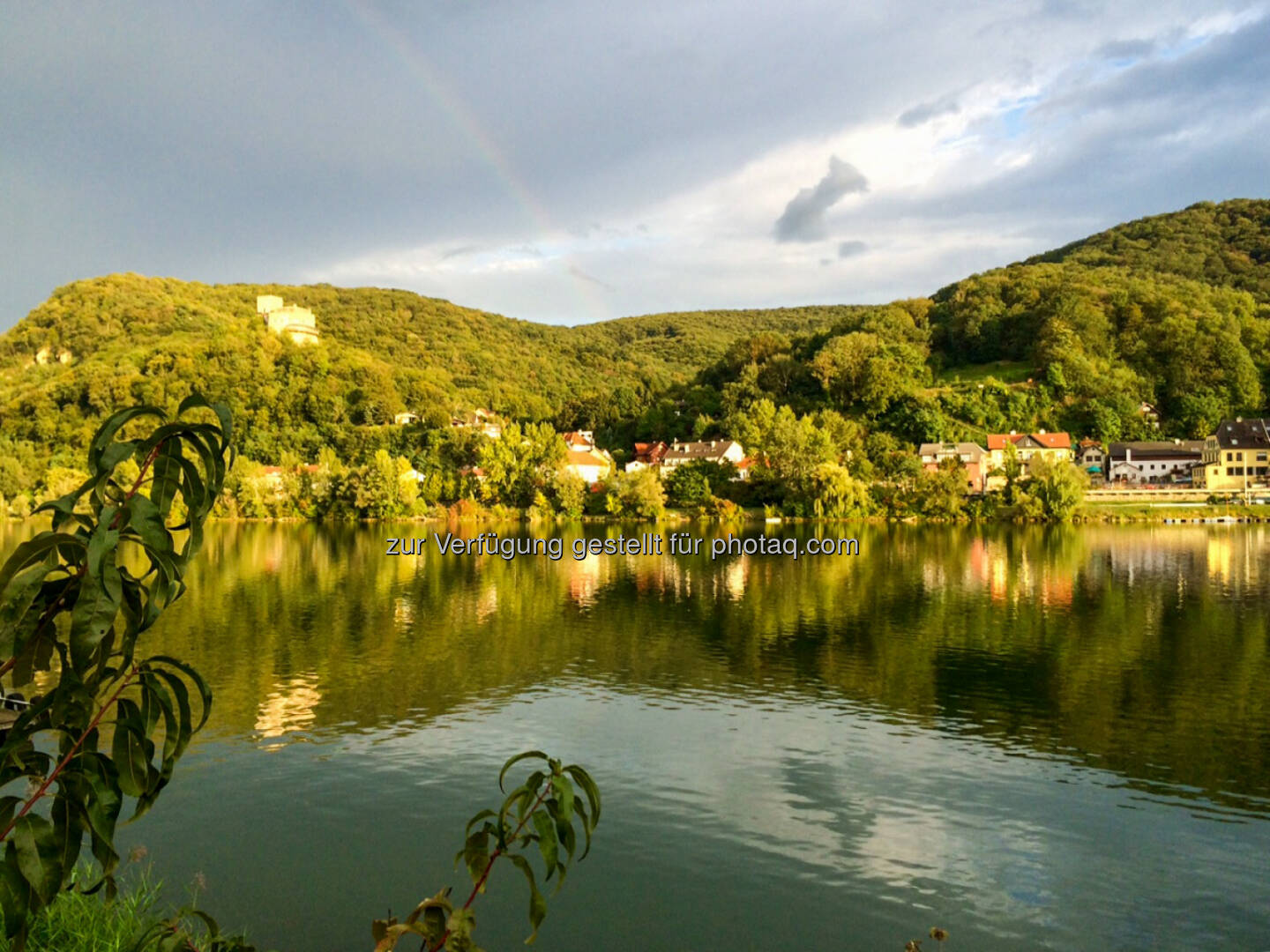 Donaualtarm Greifenstein, Wasser, See