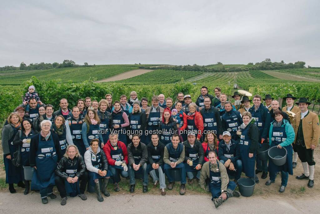 Gruppenbild 7. Charity Weinlese Niederösterreich : Weinlesen für den guten Zweck – die Charity Weinlese 2015 : Prominente trotzten Wind und Wetter und sammelten bei der 7. Niederösterreichischen Charity Weinlese 1.200 Kilogramm Grüne Veltliner Trauben in Hagenbrunn für den guten Zweck : Fotocredit: romanseidl.com, © Aussender (25.09.2015) 