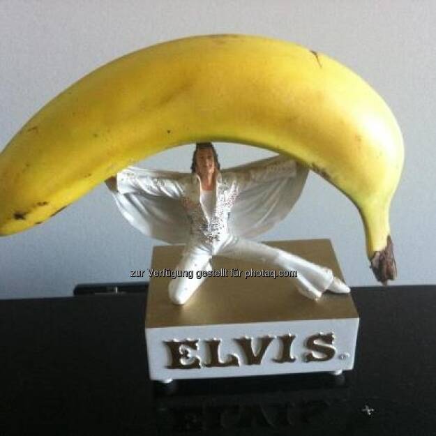 Bananing Elvis https://www.facebook.com/bananingofficial (22.03.2013) 