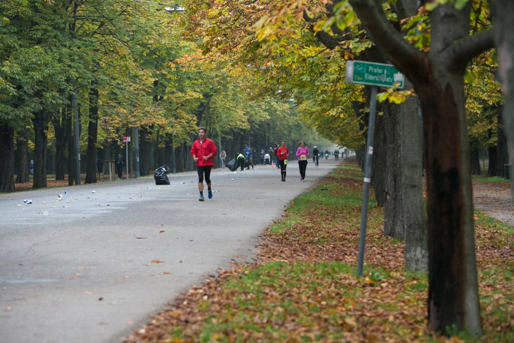 LCC Herbstmarathon 2015, Prater Hauptallee, © Martina Draper (19.10.2015) 