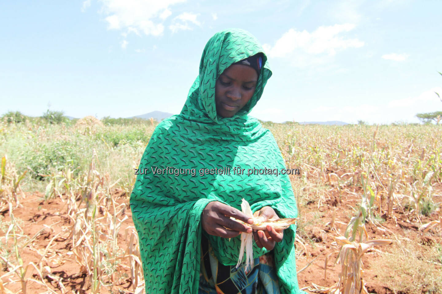 Äthiopische Bäuerin vor ihrem vertrockneten Maisfeld, in der Hand einen verkümmerten Maiskolben der kaum Körner trägt : Äthiopien: 8,2 Millionen Menschen von Hunger bedroht : UNO-Bericht: Schlimmste Dürre seit 30 Jahren : Fotocredit: Menschen für Menschen