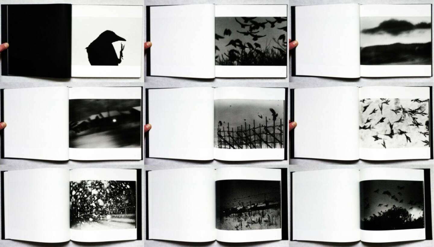 Masahisa Fukase - Karasu (The Solitude of Ravens), Rat Hole gallery 2008, Beispielseiten, sample spreads - 
http://josefchladek.com/book/masahisa_fukase_-_karasu_the_solitude_of_ravens