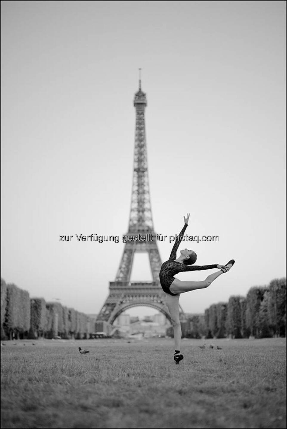 Paris  Source: http://facebook.com/WolfordFashion