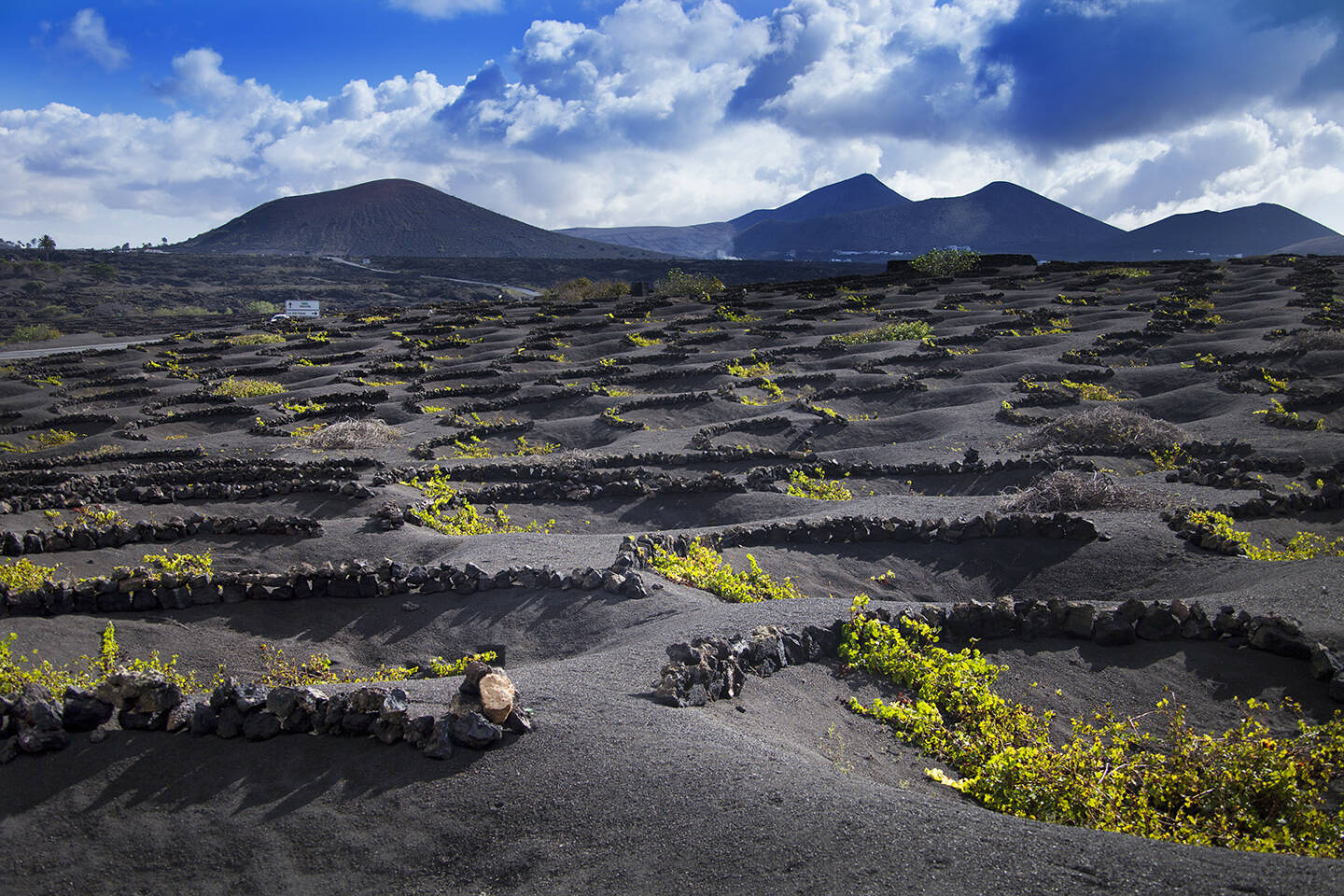 Lanzarote La Geria Weingut, schwarz, Lava, kanarische Inseln, http://www.shutterstock.com/de/pic-154072331/stock-photo-lanzarote-la-geria-vineyard-on-black-volcanic-soil-in-canary-islands.html