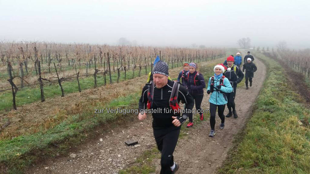 Omotion Family Lauf, Anninger, bergauf, Weingarten, © Michael Lagler (09.12.2015) 