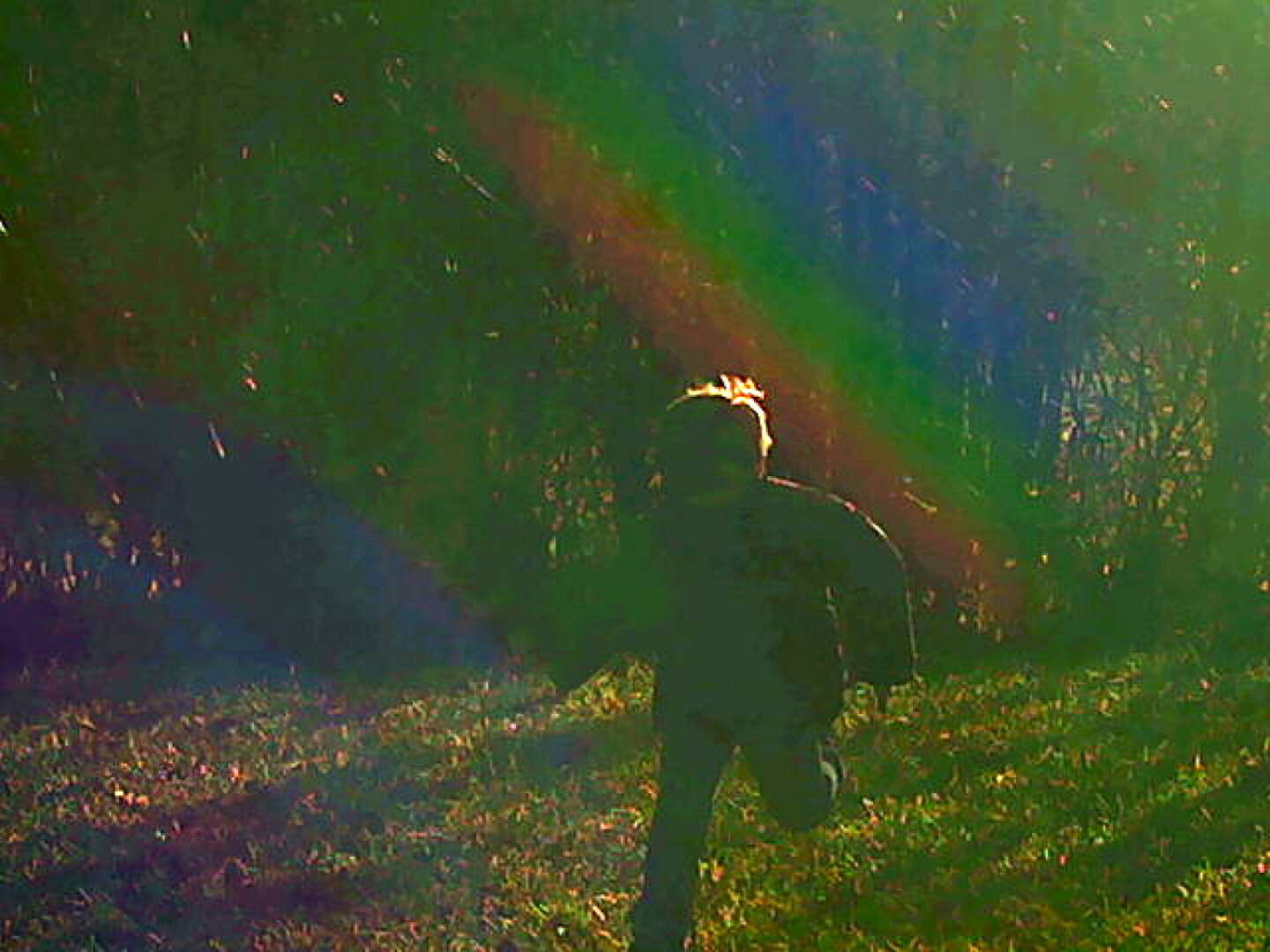 Regenbogen Run Herbst