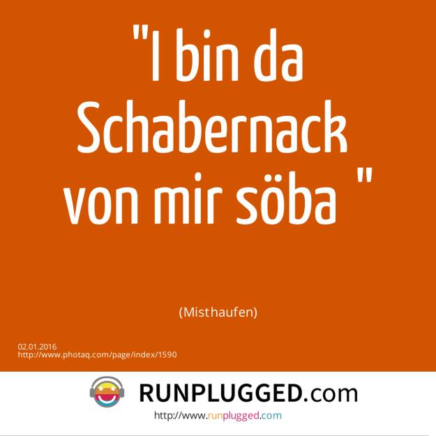 2.1. I bin da Schabernack <br>von mir söba﻿<br><br> (Misthaufen) (02.01.2016) 