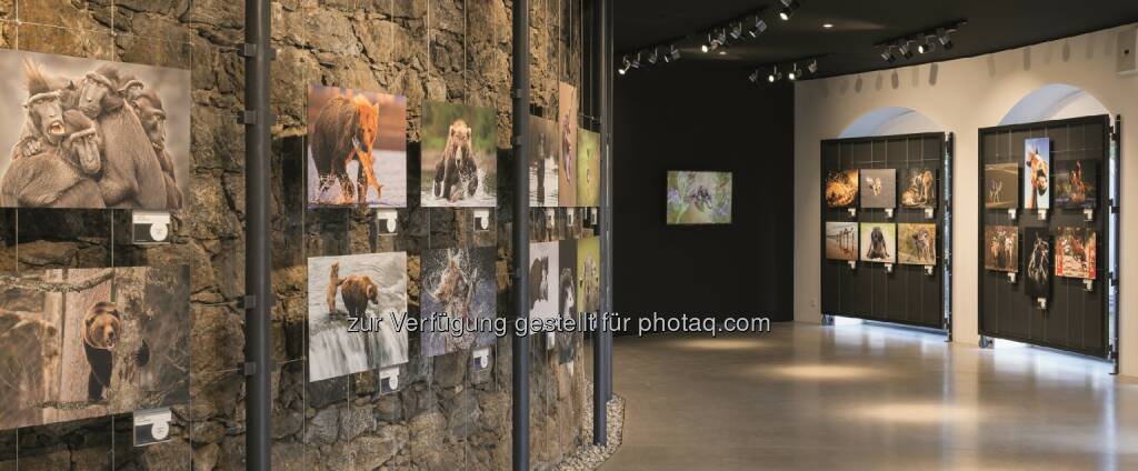 Hartlauer Fotogalerie : Fotowettbewerbe 2016 starten : „Wasserwerke – Fotografie rund ums Wasser“ und Jahresthema „Von oben“ : Fotocredit: Hartlauer HandelsgesmbH, © Aussender (27.01.2016) 