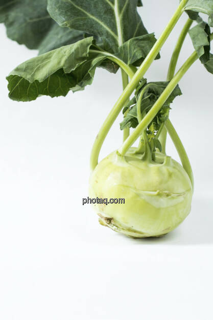 Kohlrabi, © Martina Draper (06.04.2013) 