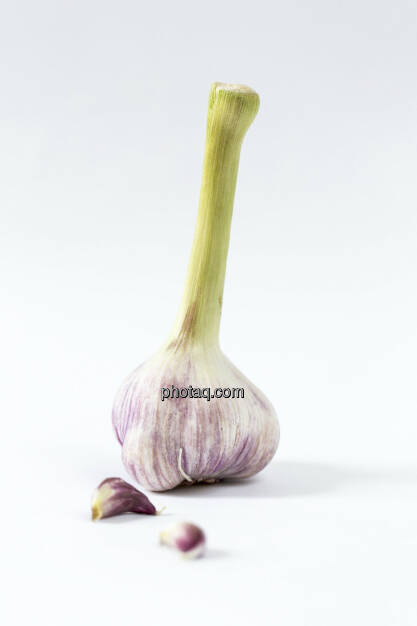 Knoblauch, © Martina Draper (06.04.2013) 