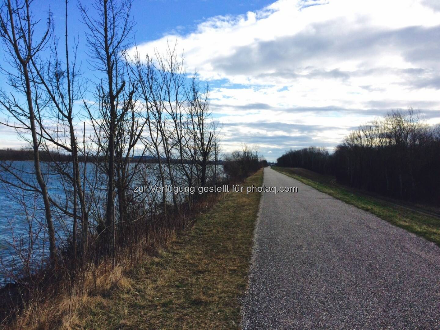 Donau, Teilstück des Wings for Life Worldruns