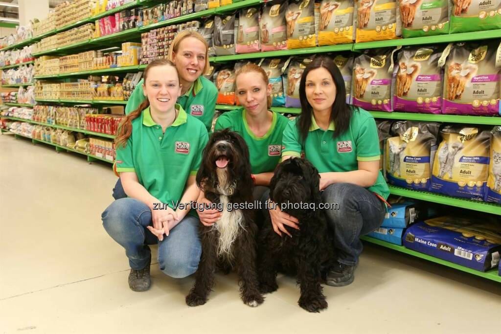 Filialteam Katrin Irmler, Maria Graf, Katharina Kroiss, Dagmar Gänger mit den Hunden Raffi und Suki : Modernisierter Fressnapf in Brunn am Gebirge ab 21.03.2016 mit neuem Einkaufserlebnis : Fotocredit: Fressnapf, © Aussender (15.03.2016) 