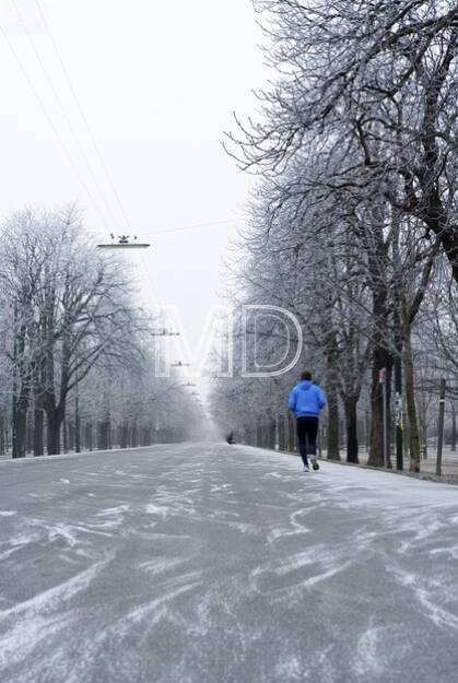 Hauptallee, Laufen, Winter, © Martina Draper (15.12.2012) 