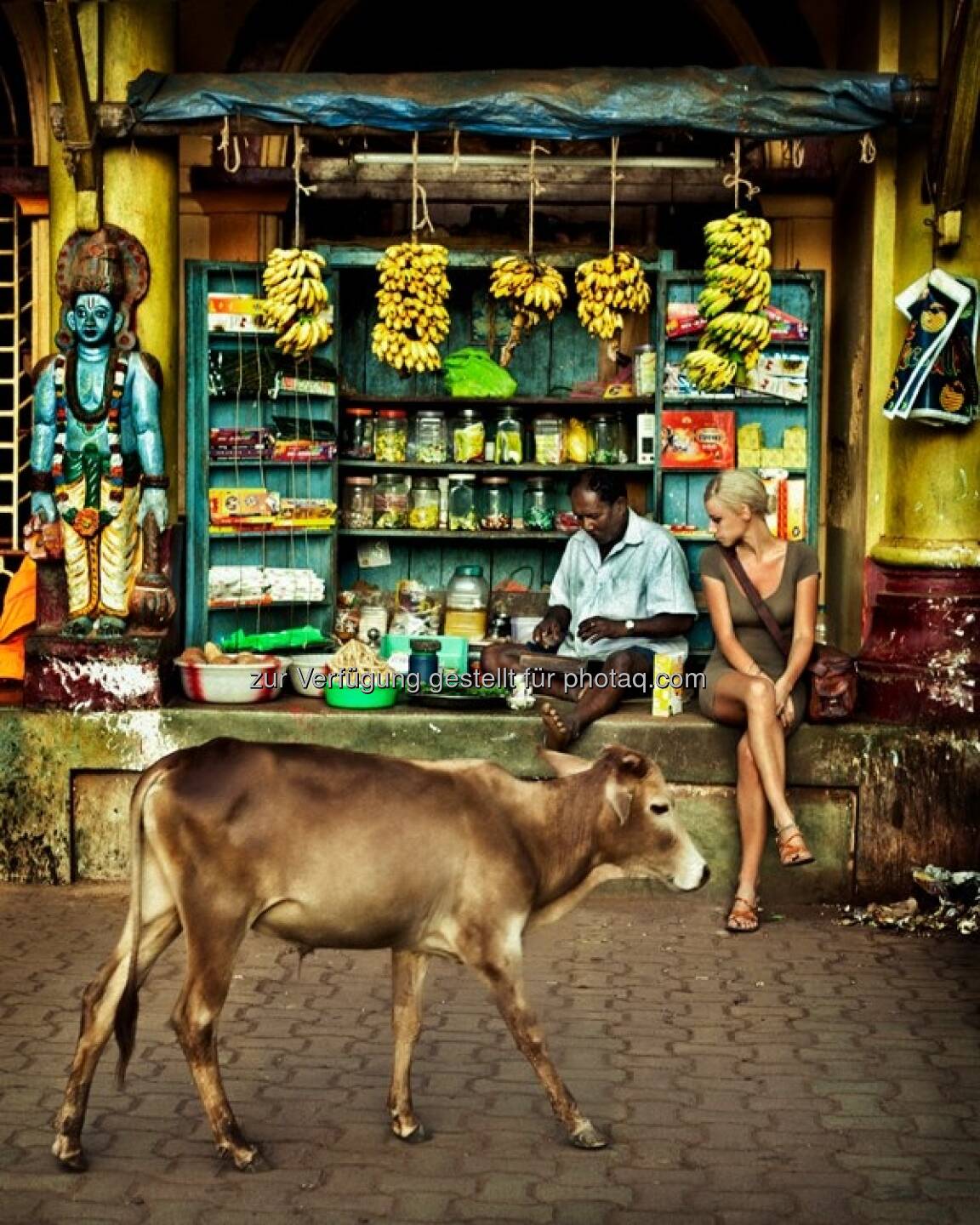 Bulle, Indien by http://www.florap.com 