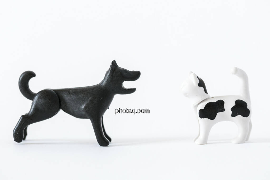 Wie Hund und Katz, Hund, Katze, Playmobil, © Martina Draper (14.04.2013) 