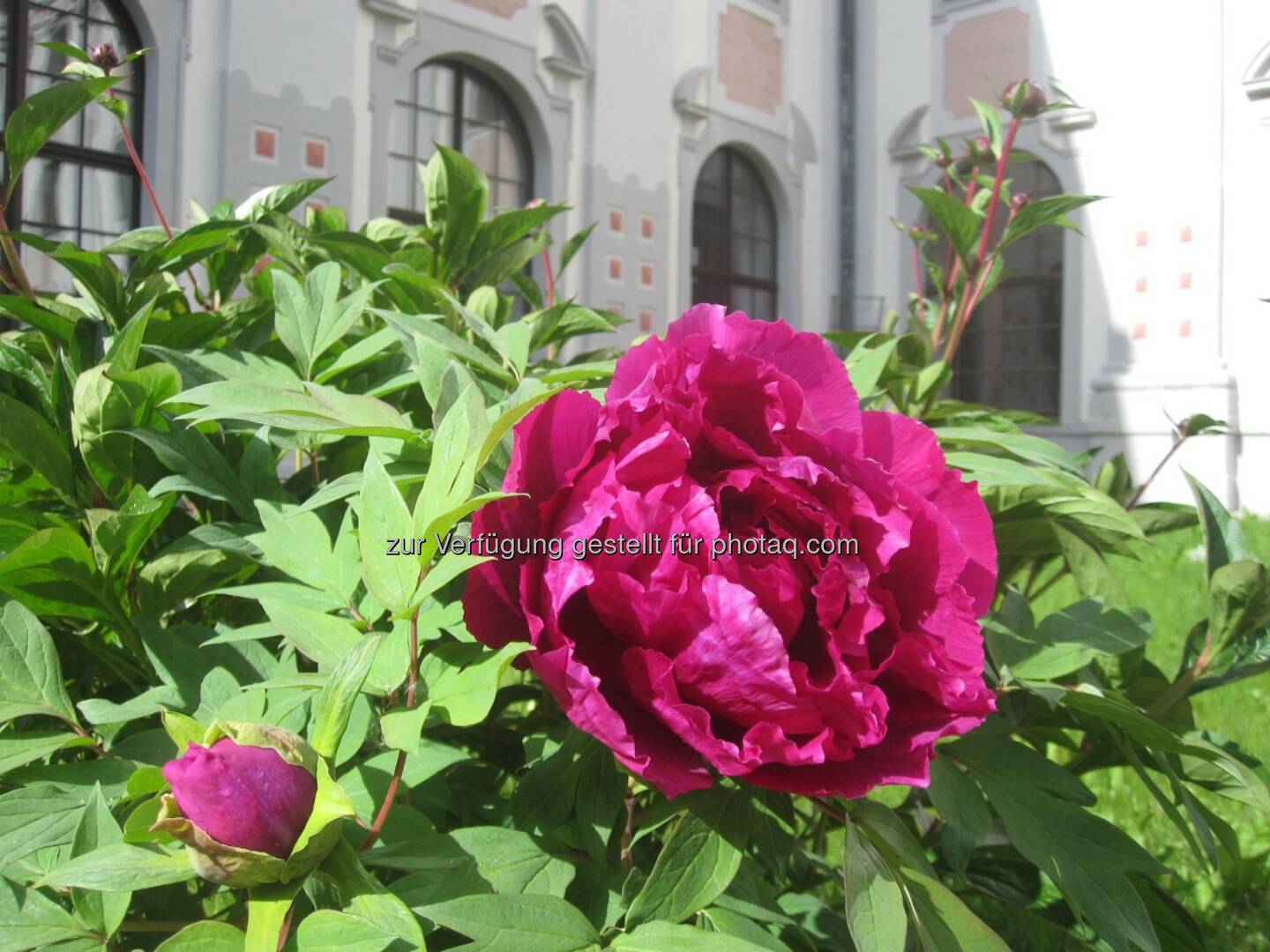 Klostergarten im Klösterreich : Ort der Ruhe und inneren Einkehr in die Faszination der Schöpfung : Fotocredit: Abtei Waldsassen / Klösterreich
