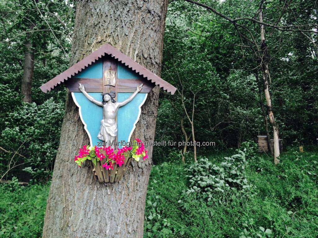 Jesus, Kreuz (20.05.2016) 