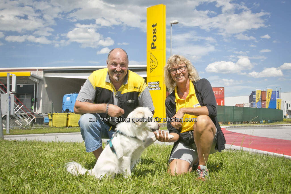Josef Nöstler und Loretta Raiger (Post), Schulungshund Merlin : Hunde und Postler – wie Feinde zu Freunden werden : Fressnapf und die Post organisierten Hunde-Schulung für Zusteller : Fotocredit: © Fotos honorarfrei, Fotonachweis Wildbild, © Aussendung (17.06.2016)