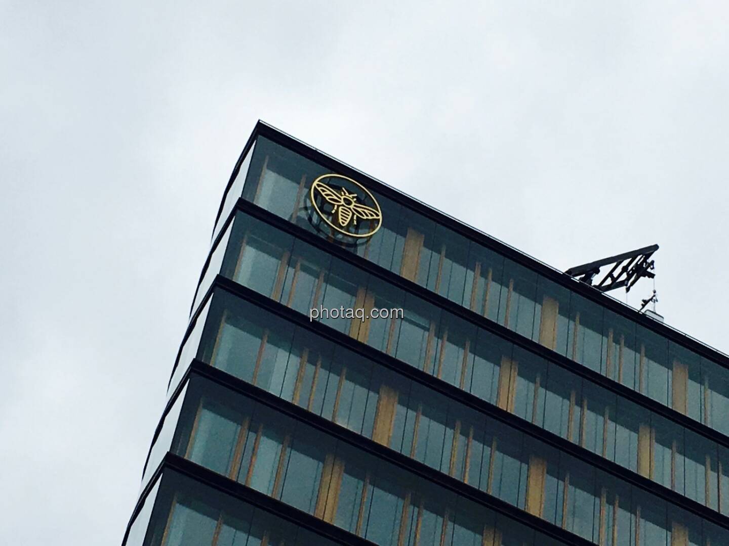 Erste Campus Sparkasse, Biene