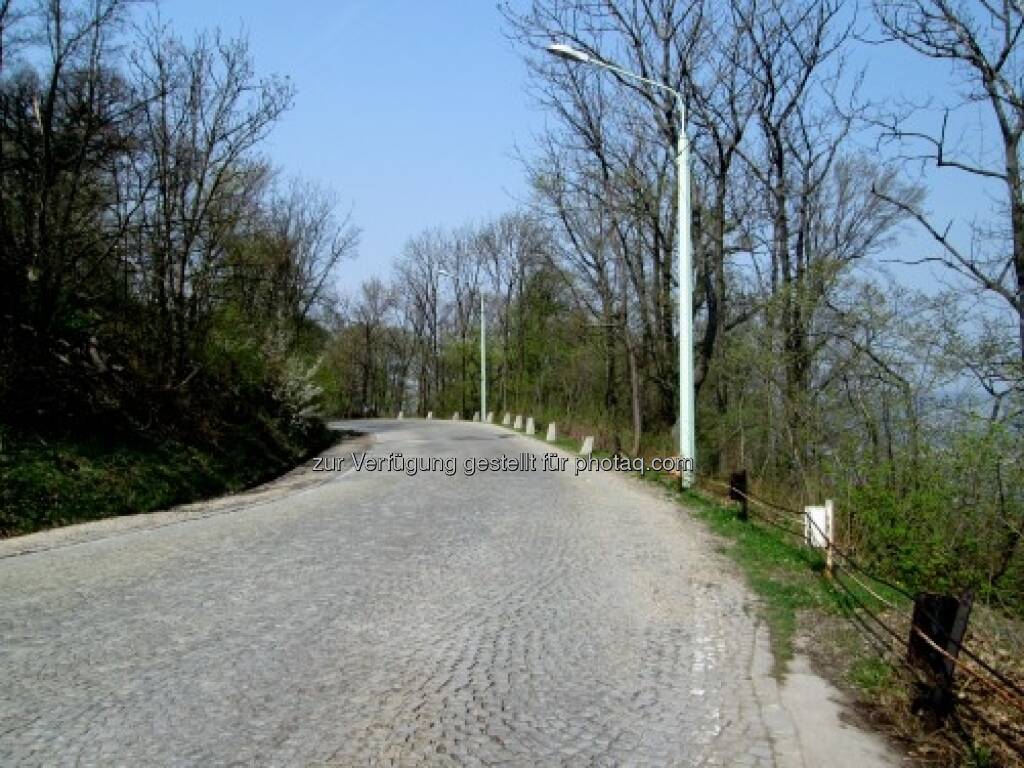 Auf der Suche nach Dreickecks-Plakatständern mit Claudia Gamon von den JuLis http://www.hippiecapitalist.at/?p=738, © Julis (22.04.2013) 