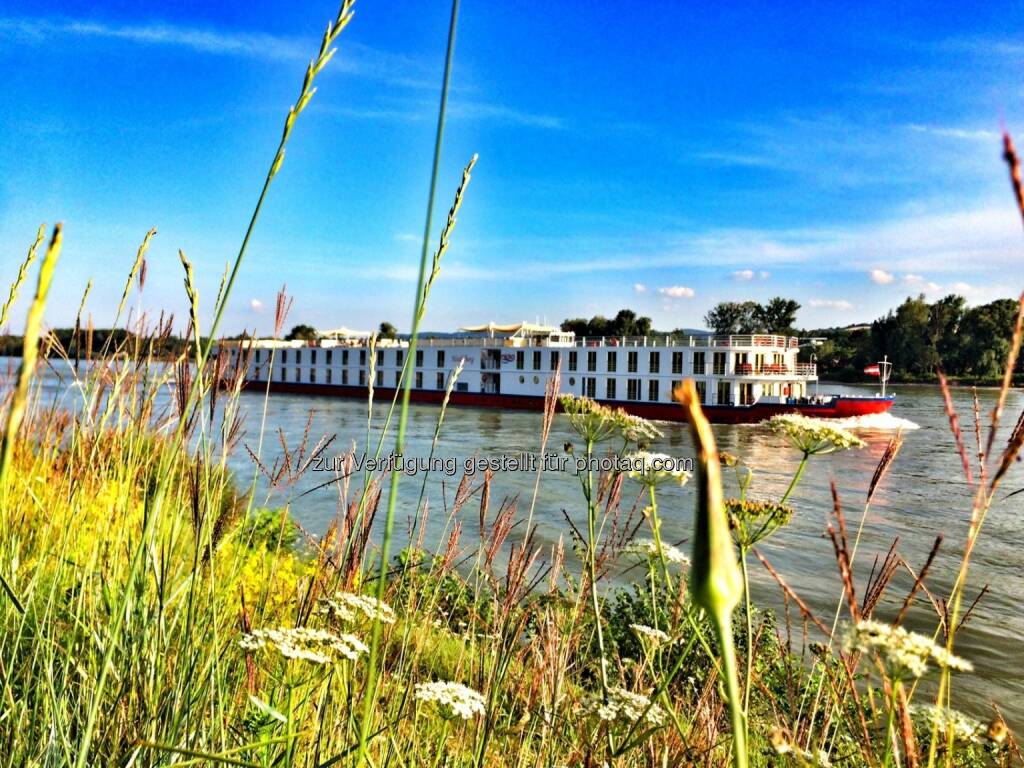 Donau, Schiff (24.07.2016) 