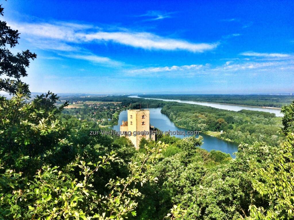 Burg Greifenstein (31.07.2016) 