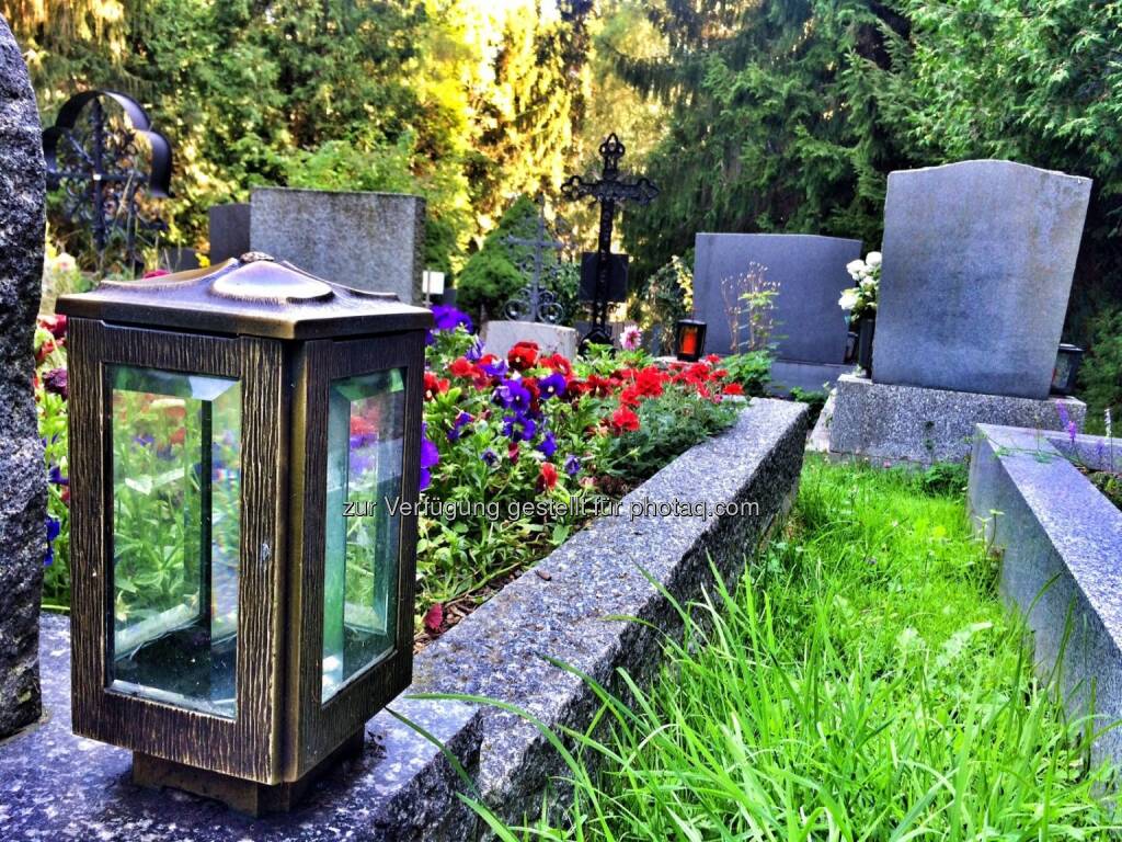 Friedhof Höflein mitten im Wald (31.07.2016) 