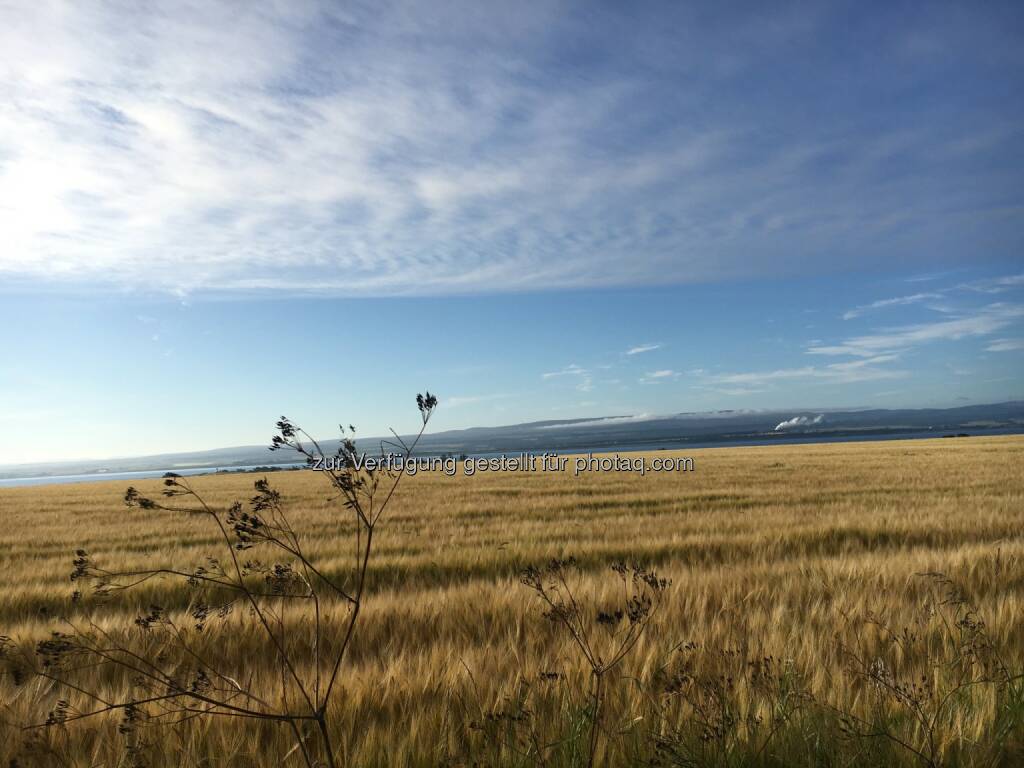 Feld, Himmel, Wolken (02.08.2016) 