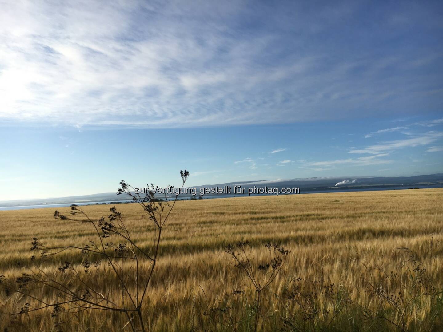 Feld, Himmel, Wolken