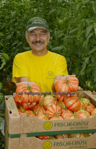 Franz Pannagl (LGV-Gärtnermeister) : LGV-Frischgemüse feiert am 8. August den Tag der Paradeiser : Fotocredit: www.kurt-kracher.at, © Aussender (04.08.2016) 