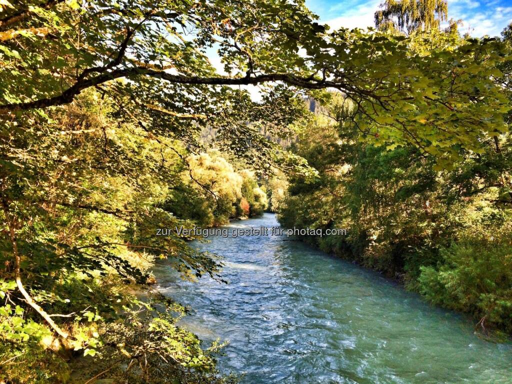 Enns, Fluß (15.08.2016) 