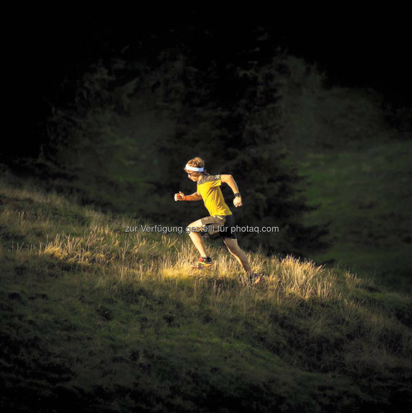 Florian Neuschwander, Berg, bergauf, hinaus, Spotlight