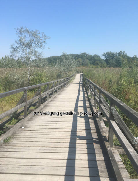 Josefssteg in der Lobau (10.09.2016) 