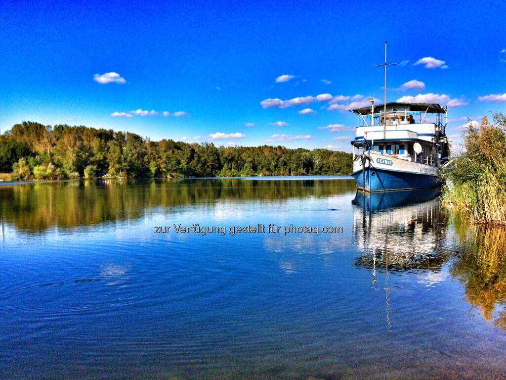 Donaualtarm Greifenstein (22.09.2016) 