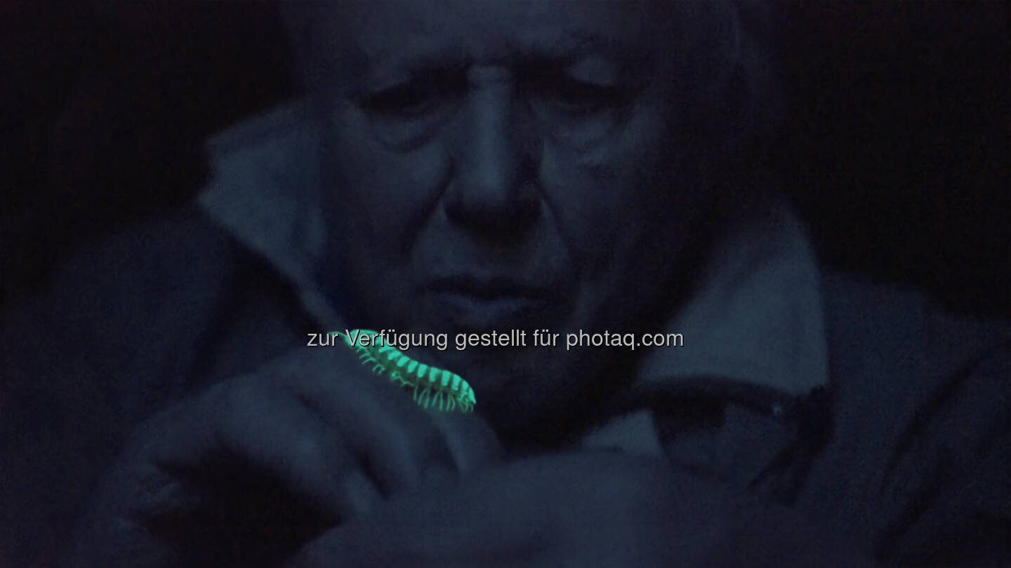 Sir David Attenborough in Leuchtfeuer des Lebens : Grand Helix Award bei den renommierten Science Media Awards in Boston für die Wiener Terra Mater Factual Studios :  Fotocredit: Terra Mater Ammonite Films_Martin Dohrn