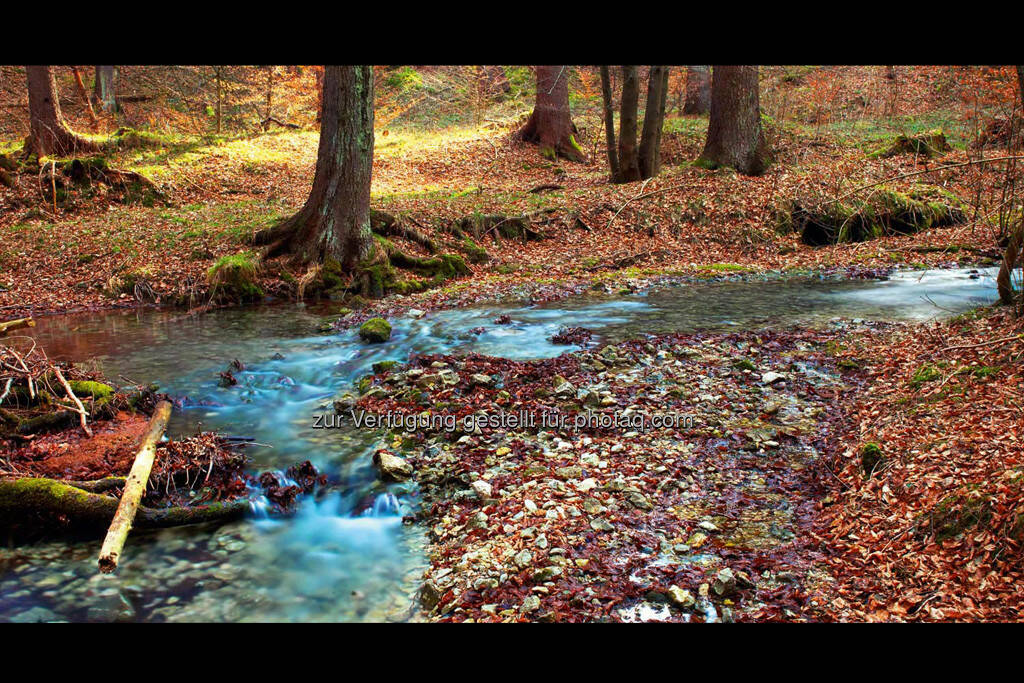 Herbst, by Detlef Löffler, http://loefflerpix.com/ (26.04.2013) 