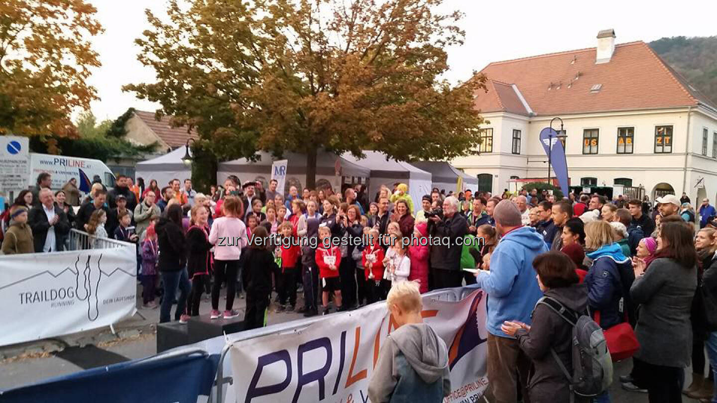 Langenzersdorfer Nightrun