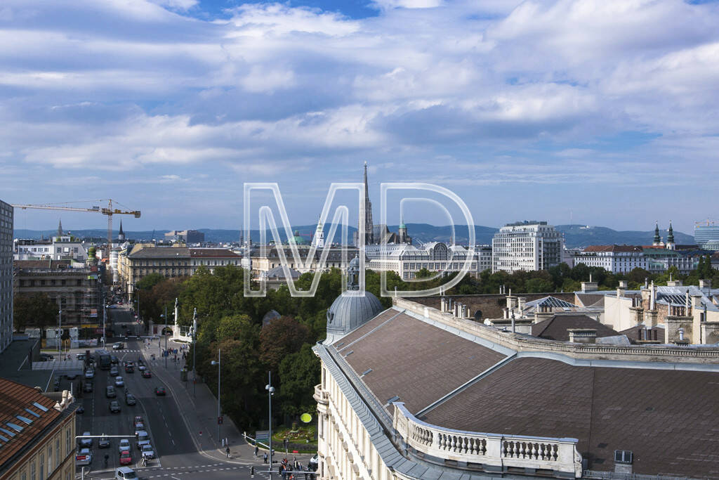 Dachlandschaft, Stephansdom, Wien, © Martina Draper (15.12.2012) 