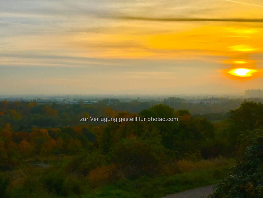 Indian Summer... und das mitten in der Großstadt! Big like! (24.10.2016) 