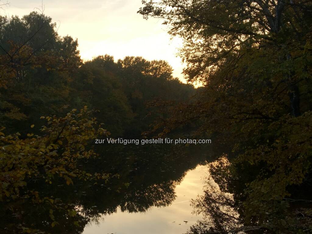 Heustadlwasser at its best! (28.10.2016) 