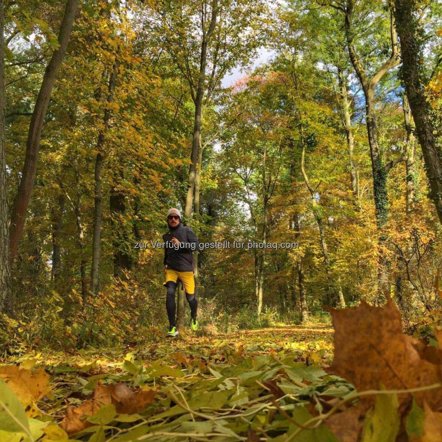 Florian Neuschwander, Herbst