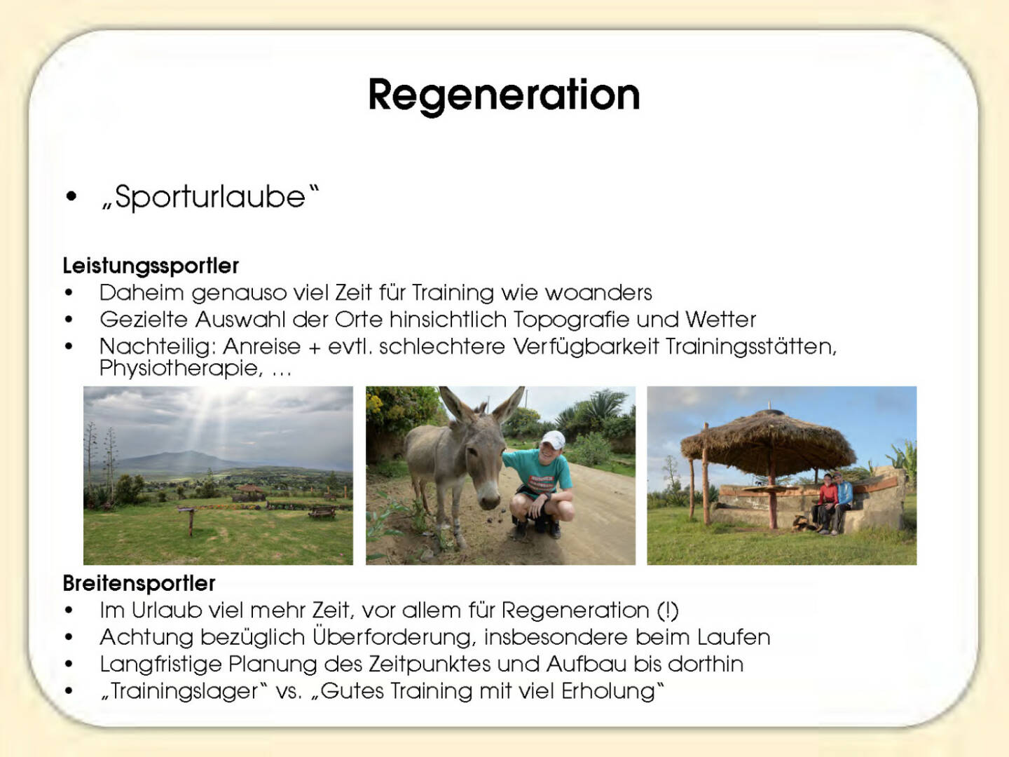 Regeneration - Sandrina Illes