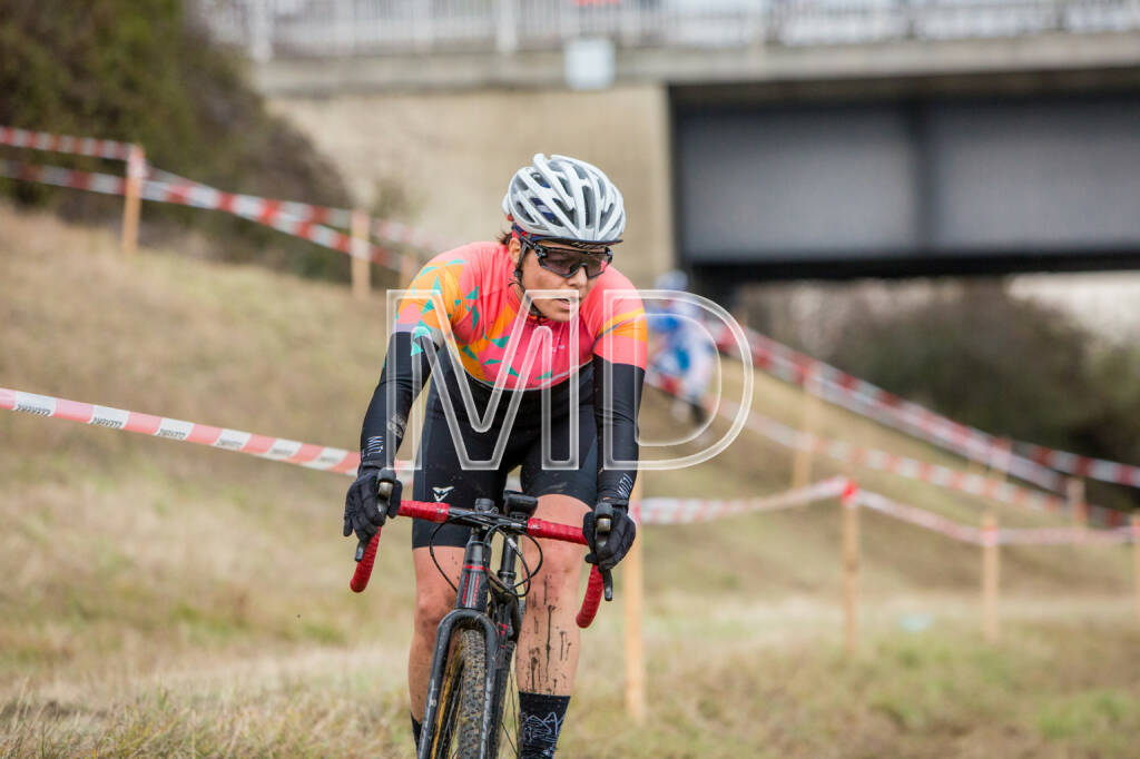 CX-Rennen Steinspornbrücke, © Martina Draper (19.11.2016) 