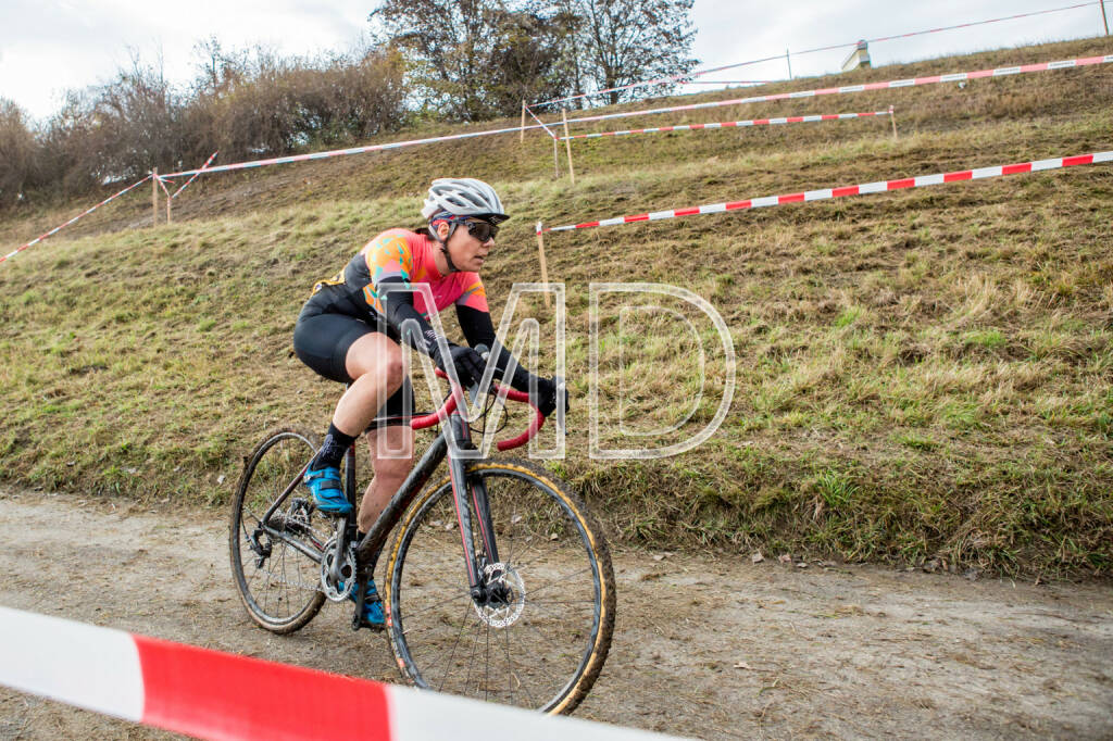 CX-Rennen Steinspornbrücke, © Martina Draper (19.11.2016) 