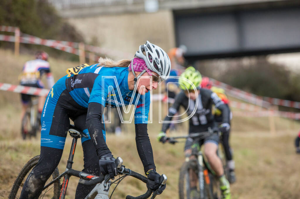 CX-Rennen Steinspornbrücke, © Martina Draper (19.11.2016) 