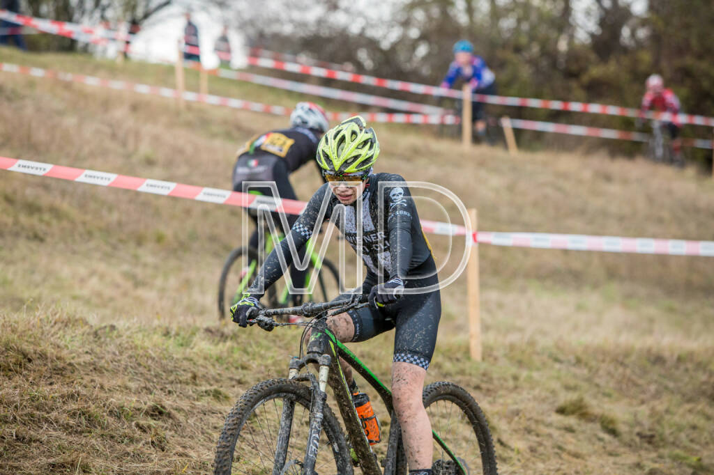 CX-Rennen Steinspornbrücke, © Martina Draper (19.11.2016) 