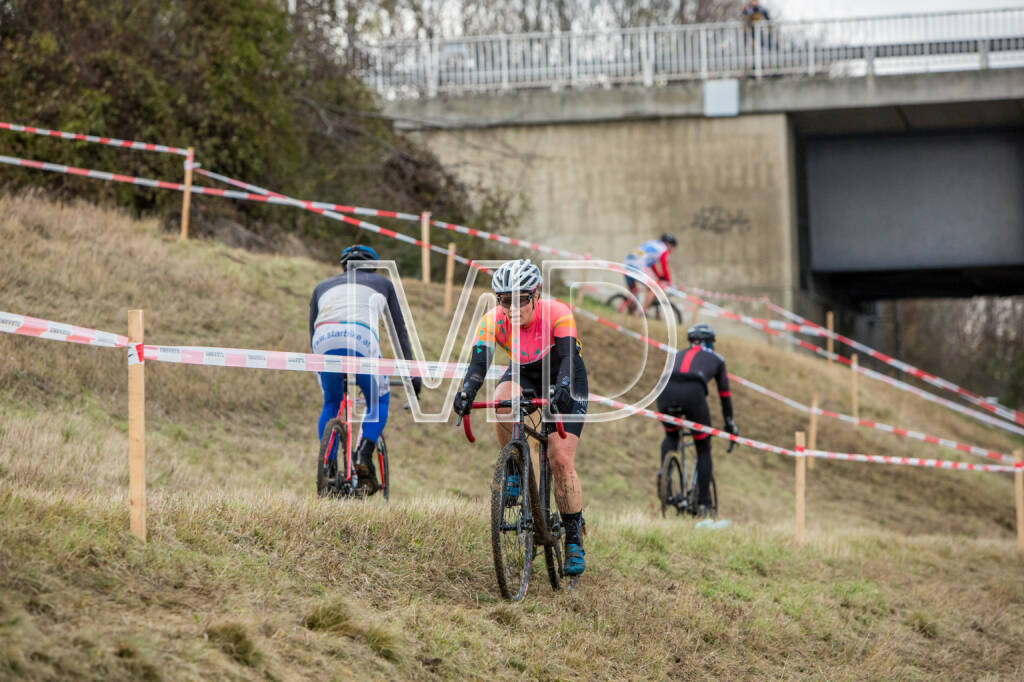 CX-Rennen Steinspornbrücke, © Martina Draper (19.11.2016) 