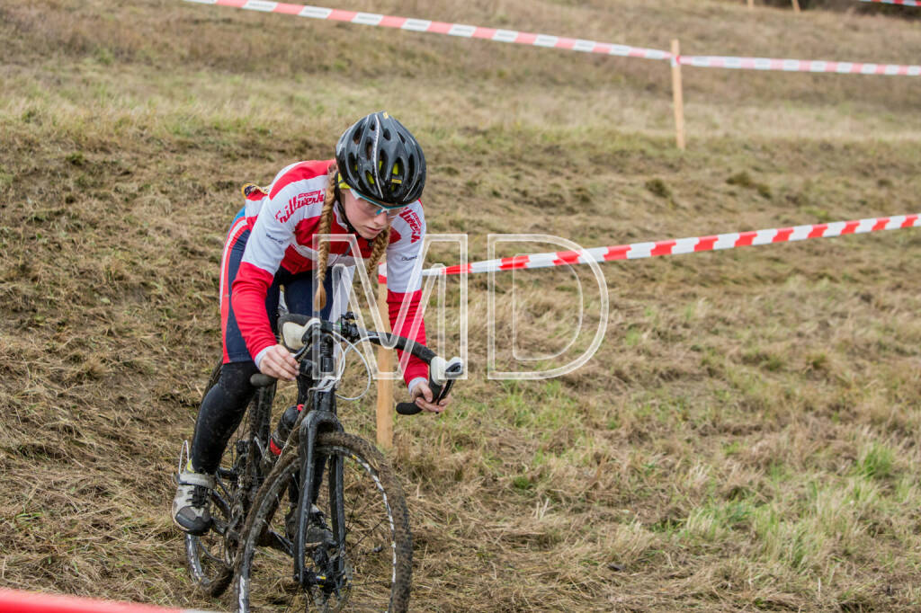 CX-Rennen Steinspornbrücke, © Martina Draper (19.11.2016) 