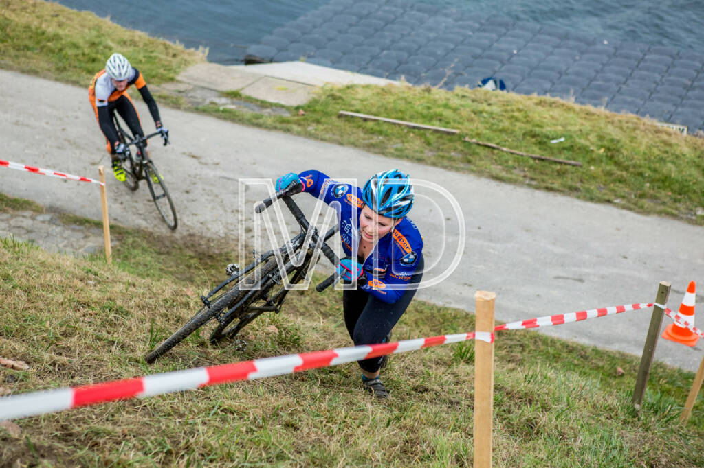 CX-Rennen Steinspornbrücke, © Martina Draper (19.11.2016) 