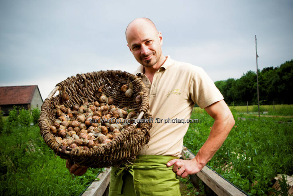 Der Wiener Landwirt Andreas Gugumuck züchtet Weinberg-Schnecken und beweist: In alten landwirtschaftlichen Traditionen steckt oft großes innovatives Potenzial. Es braucht nur die richtige Idee und einen kreativen Kopf, der sie auf die Teller von heute bringt (c) Landwirtschaftskammer Wien (07.05.2013) 